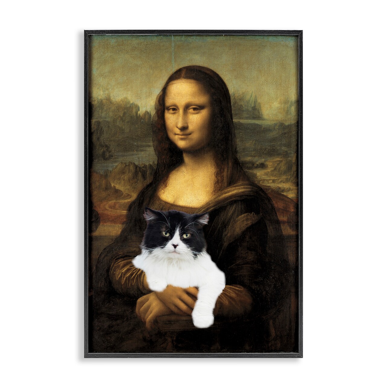 Stupell Industries Mona Lisa Cat Lady Framed Giclee, design by Masters Redux